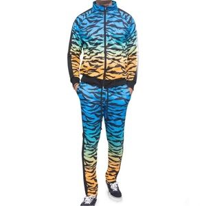 Men's 2 Piece Ombre Gradient Tiger Stripe Track Suit Sweatsuit Jogger Unisex